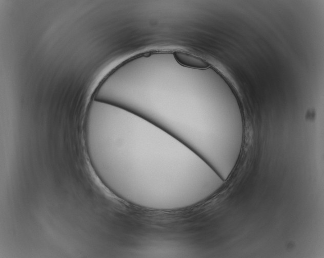 X0000111510959200907281311