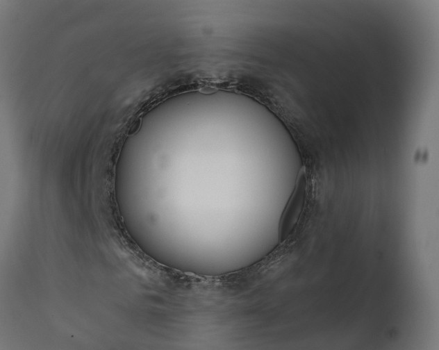 X0000111510961200907281310