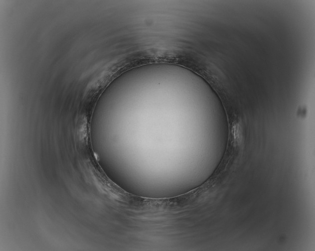X0000111510963200907281310