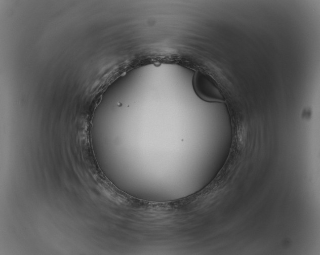 X0000111510964200907281310