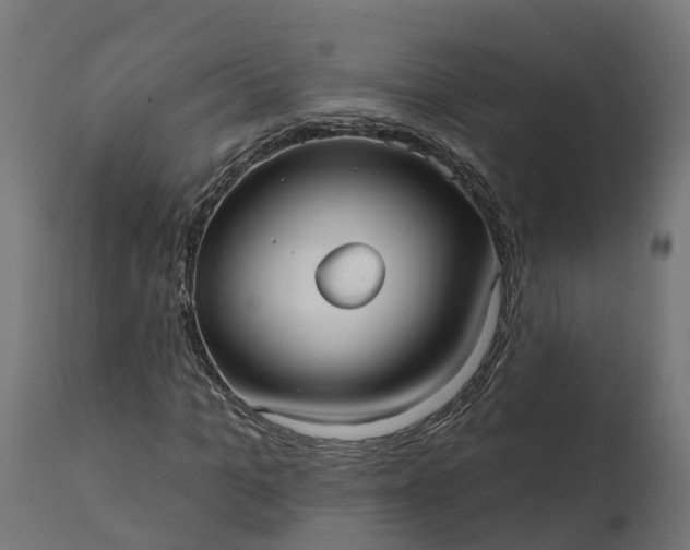 X0000111510965200907281310
