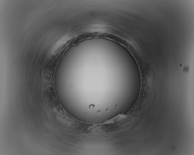 X0000111510967200907281310