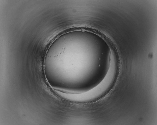 X0000111510969200907281310