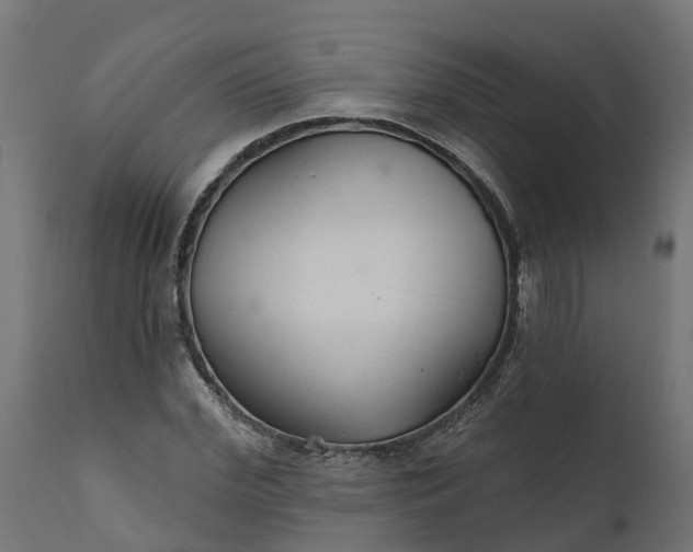 X0000111510972200907281310
