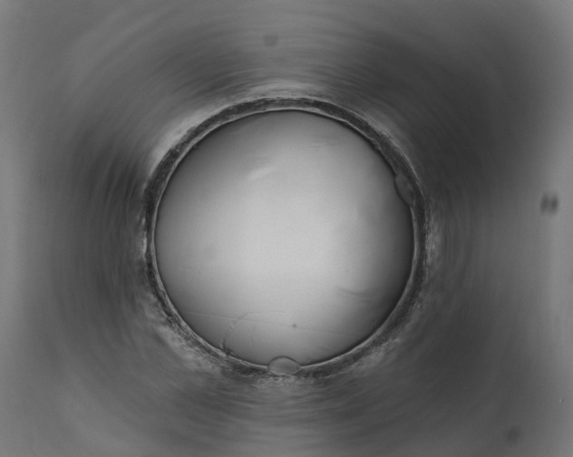 X0000111510973200907281310