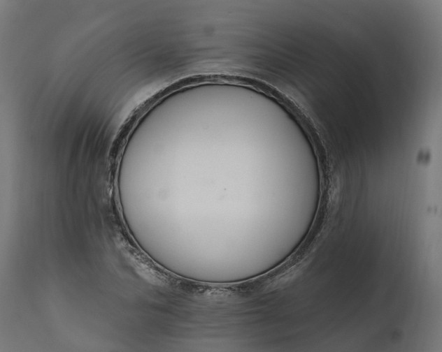 X0000111510974200907281310