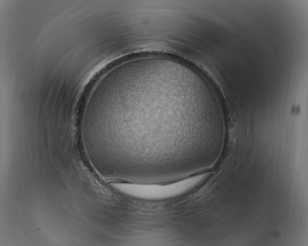 X0000111510975200907281310