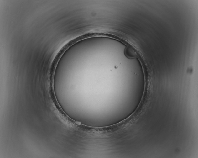 X0000111510976200907281310