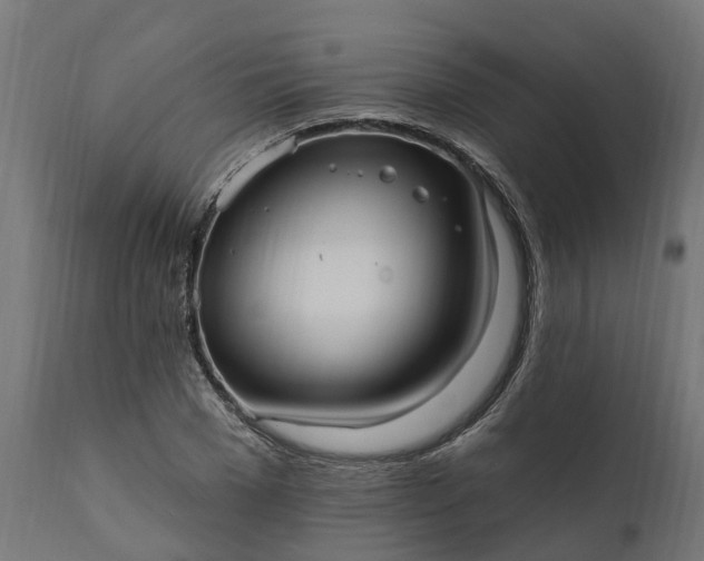 X0000111510977200907281310