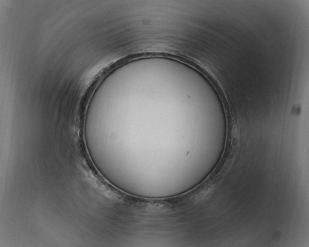 X0000111510979200907281310
