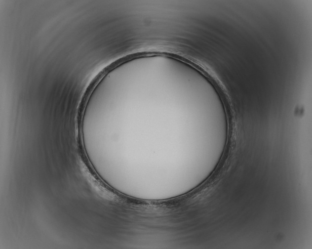 X0000111510980200907281310