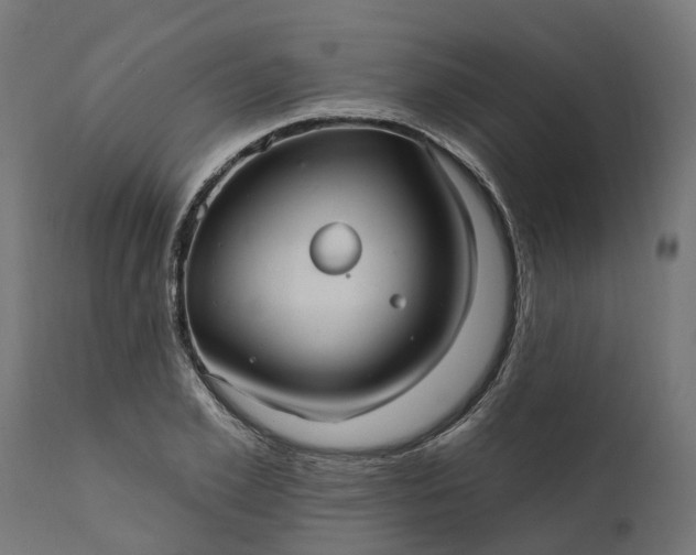 X0000111510981200907281310