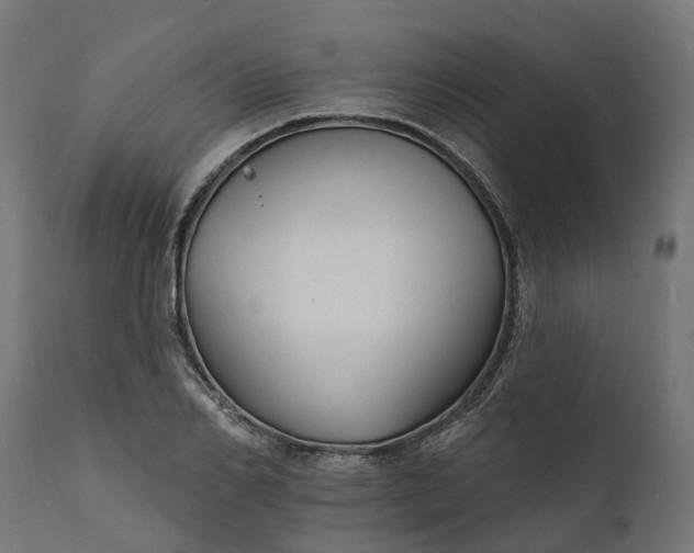 X0000111510982200907281310