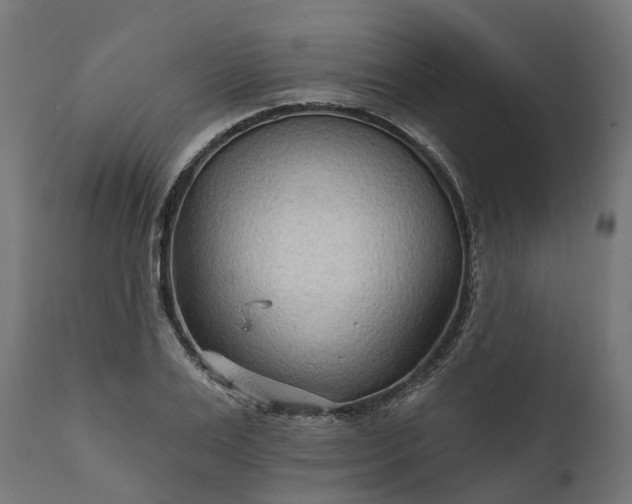 X0000111510983200907281310