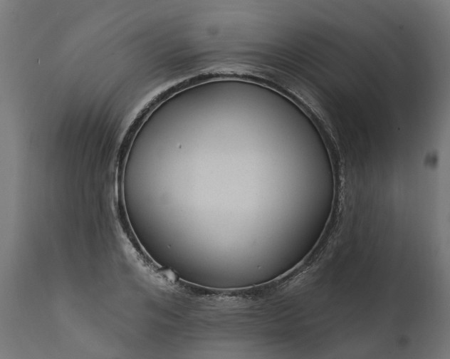 X0000111510984200907281310