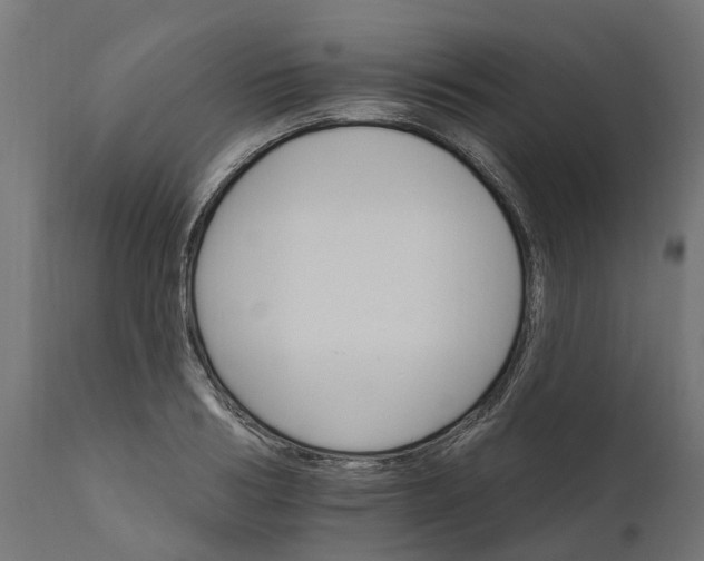 X0000111510986200907281310