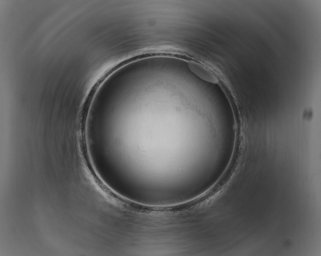 X0000111510989200907281310