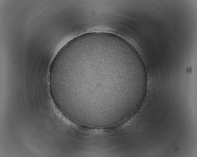 X0000111510990200907281310