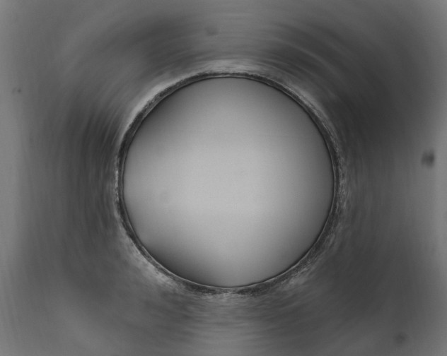 X0000111510992200907281310