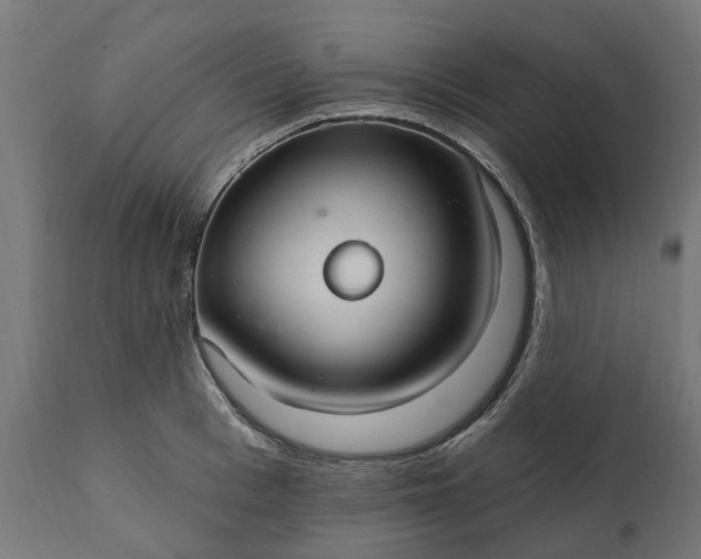 X0000111510993200907281310
