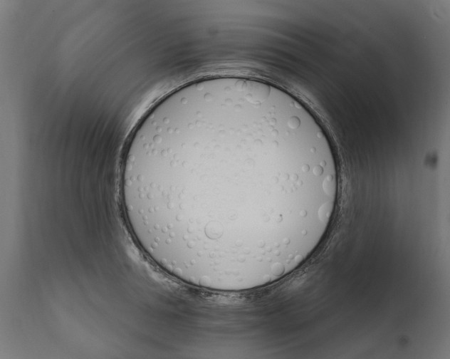 X0000111510994200907281310
