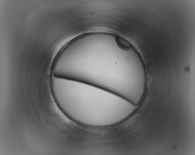 X0000111510995200907281310