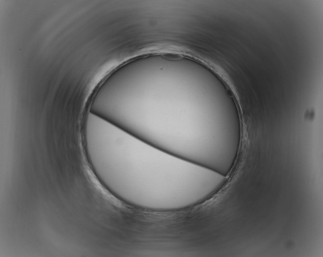 X0000111510997200907281310