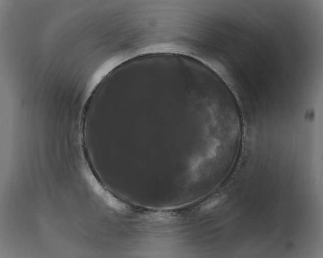 X0000111510998200907281310