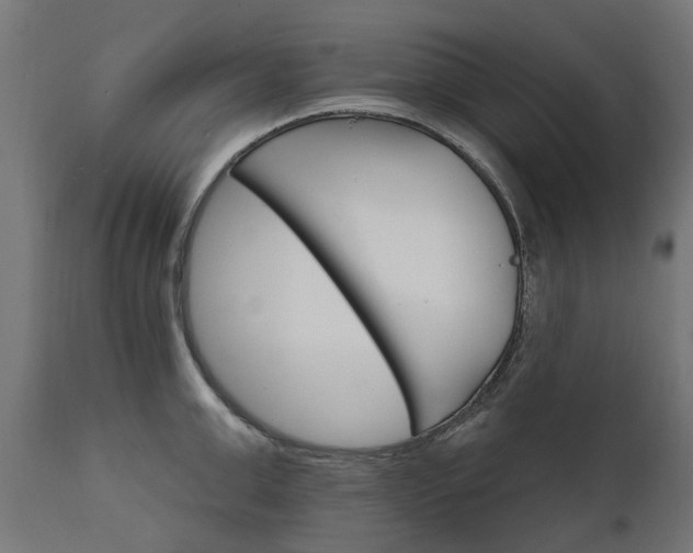 X0000111510999200907281310