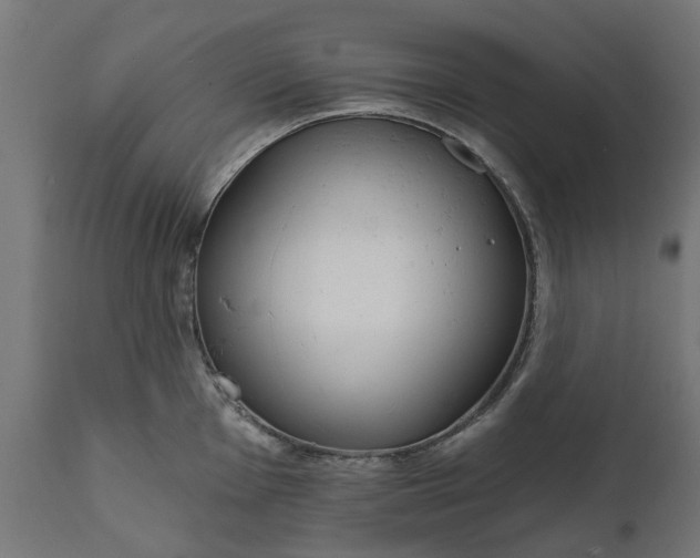 X0000111511001200907281310