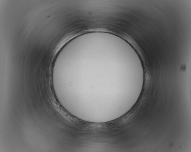 X0000111511002200907281310