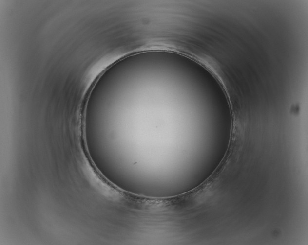 X0000111511003200907281310