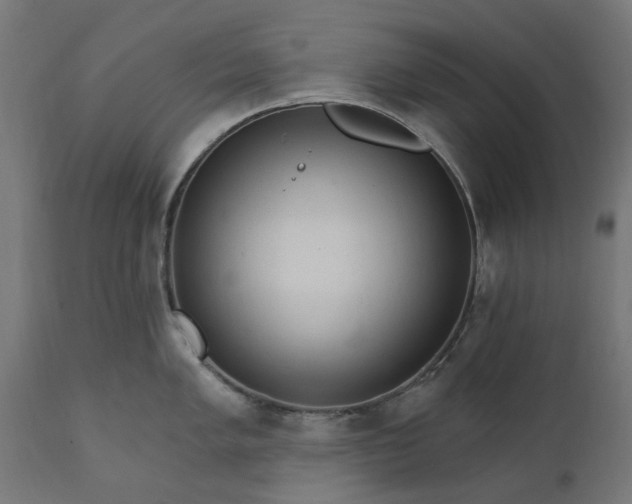 X0000111511005200907281310