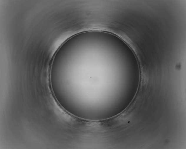 X0000111511006200907281310