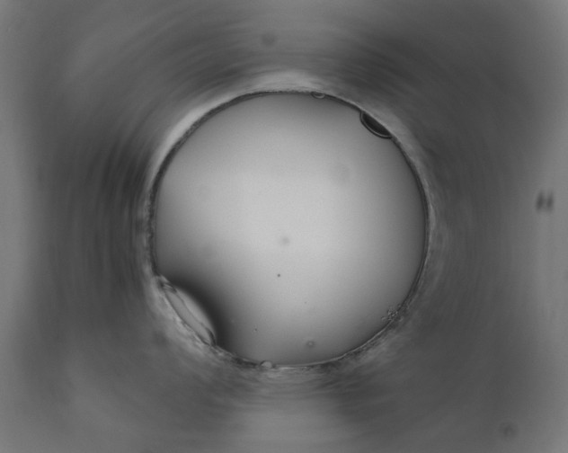 X0000111511008200907281310