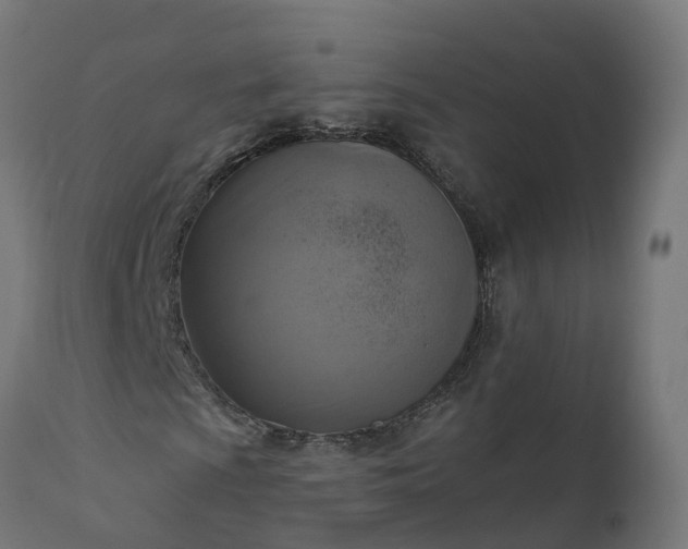 X0000111511009200907281309