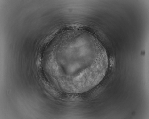 X0000111511011200907281309
