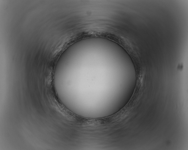X0000111511012200907281309