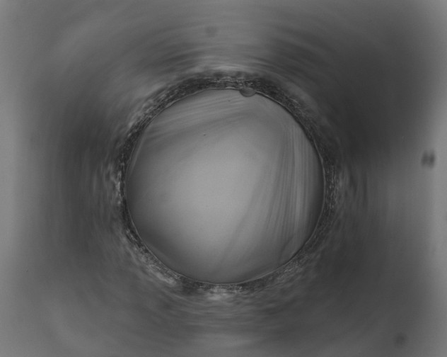 X0000111511013200907281309
