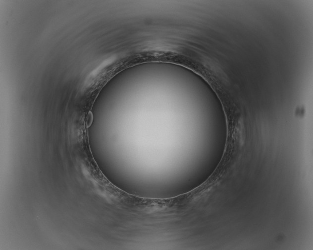 X0000111511014200907281309