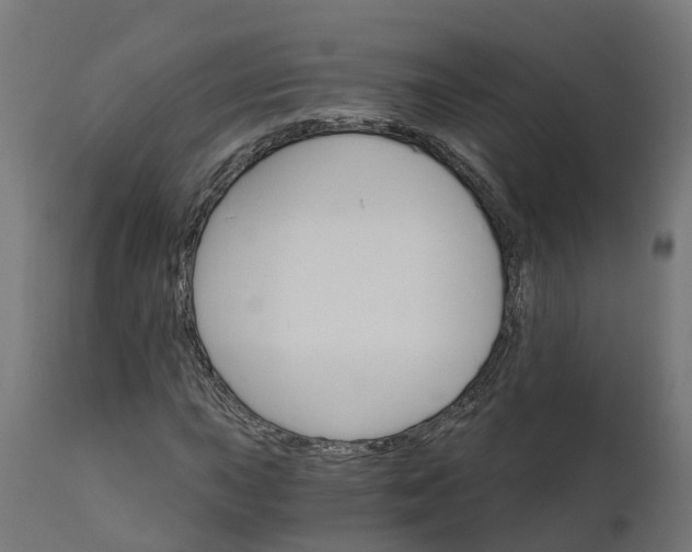 X0000111511015200907281309