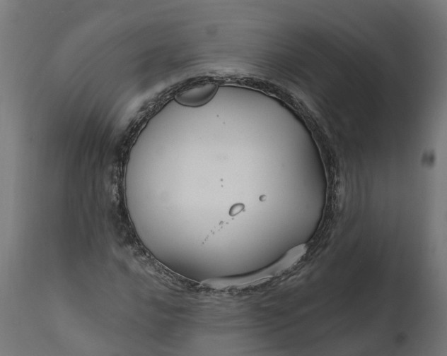 X0000111511016200907281309