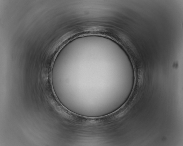 X0000111511017200907281309