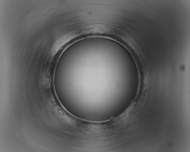 X0000111511018200907281309