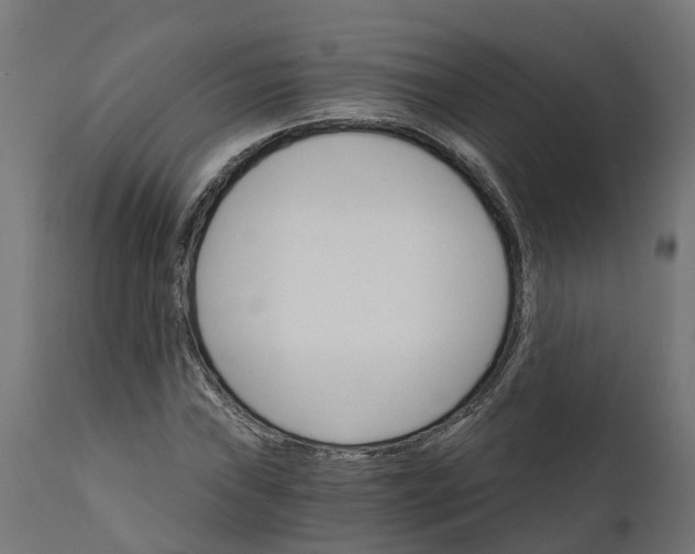 X0000111511019200907281309