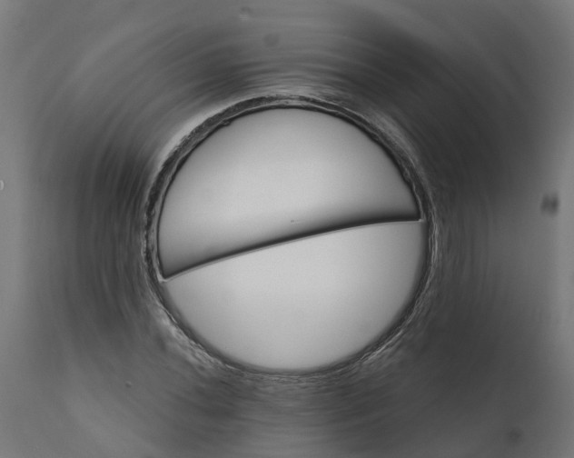 X0000111511020200907281309
