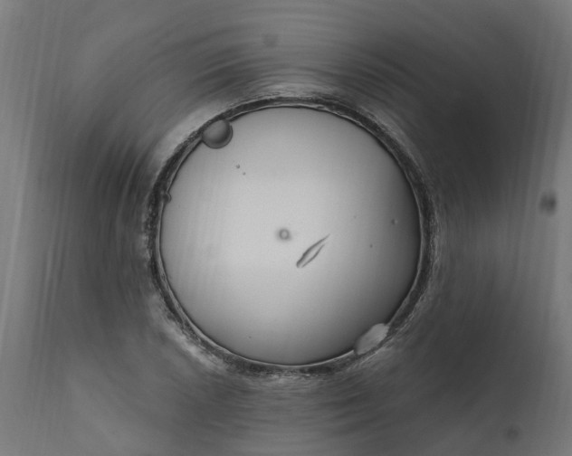 X0000111511026200907281309