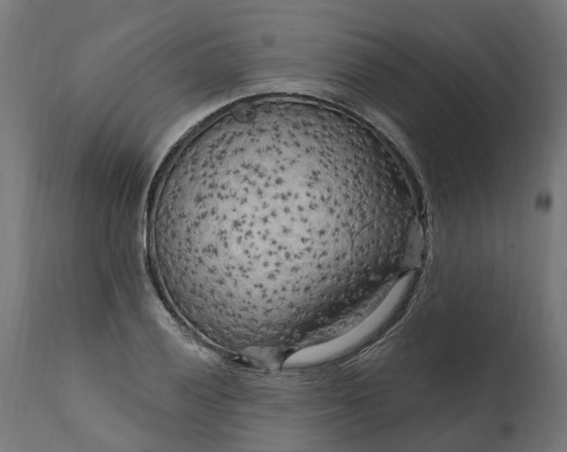 X0000111511028200907281309