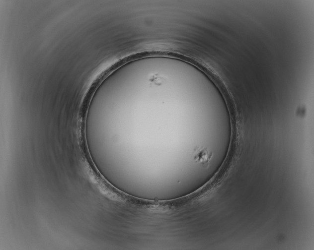 X0000111511029200907281309