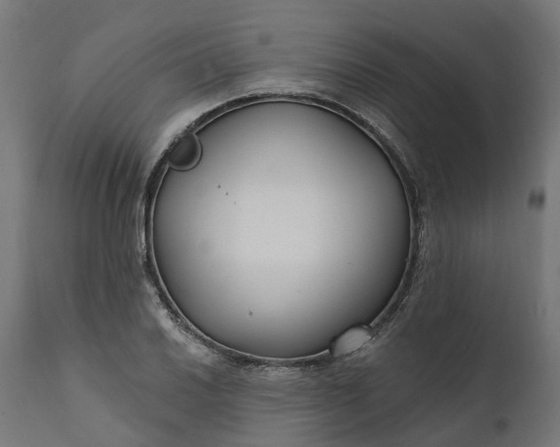 X0000111511030200907281309